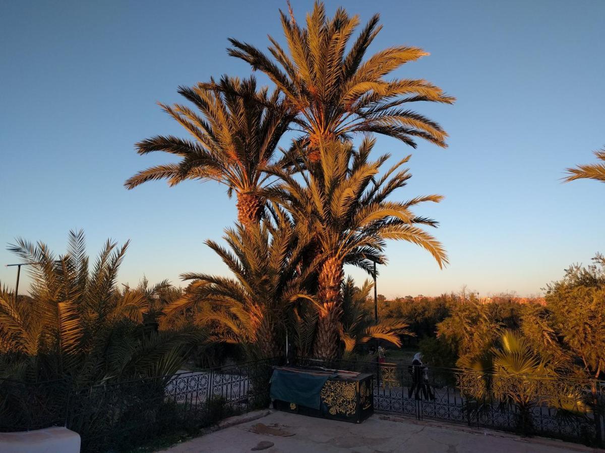 Opera Appartement, Hivernage Marrakech. Μαρακές Εξωτερικό φωτογραφία